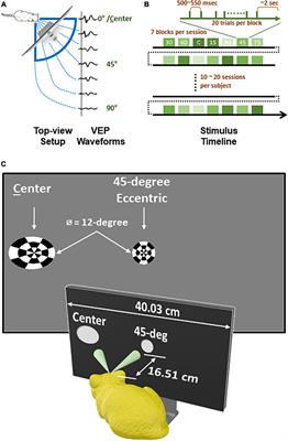 Visually evoked potentials (VEPs) across the visual field in hearing and deaf cats